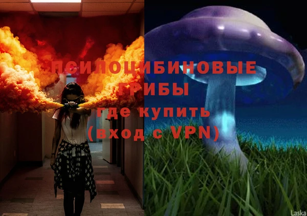 apvp Дмитриев