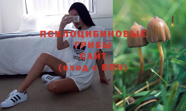 метамфетамин Алзамай