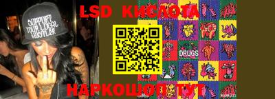 ПСИЛОЦИБИНОВЫЕ ГРИБЫ Можга