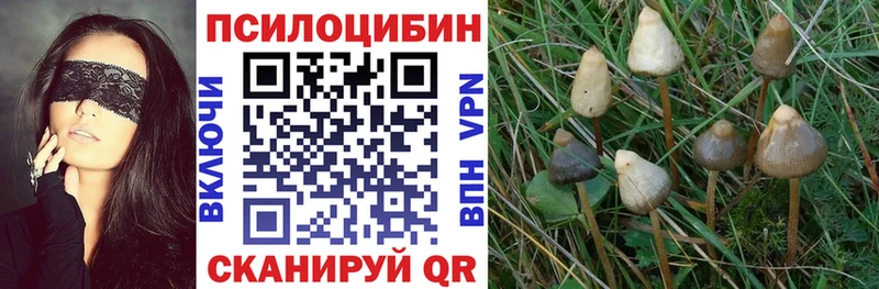 цена наркотик  Россошь  Галлюциногенные грибы ЛСД 
