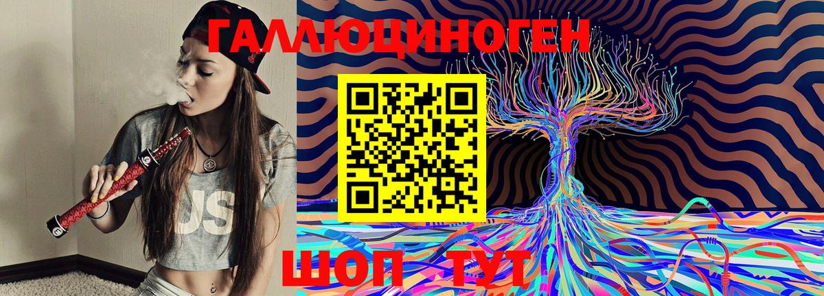 Галлюциногенные грибы Psilocybe Россошь